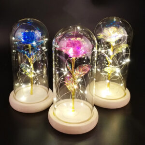 Lamp with Rose