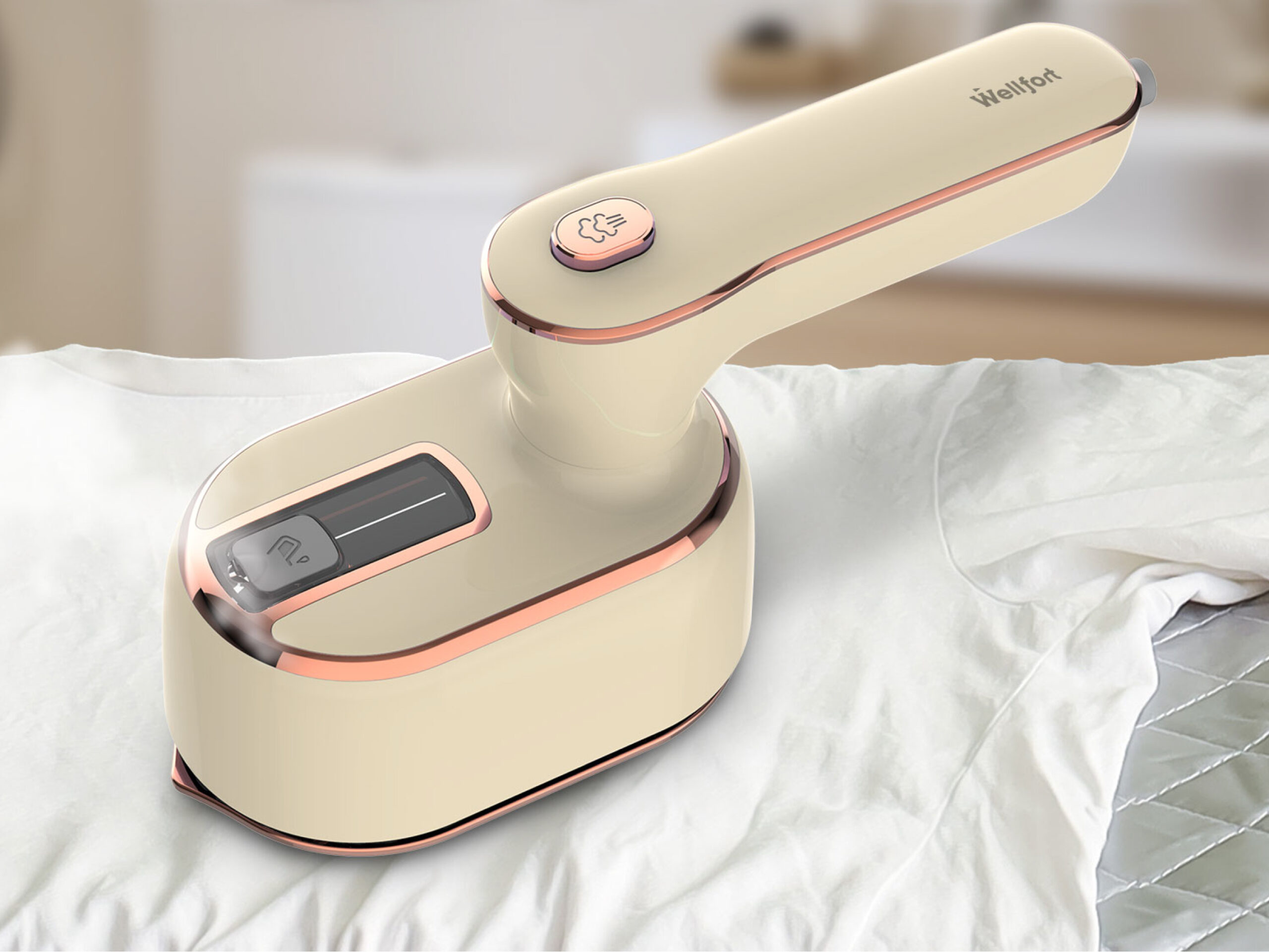 Garment Steamer